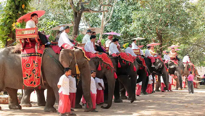 Eléphants / infotravel.fr