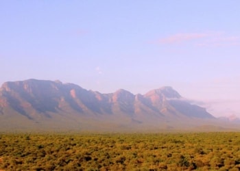 Parc Kruger Afrique du Sud