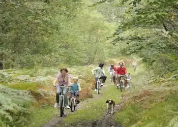 Velo en foret-Oise Tourisme Jean-Pierre Gilson