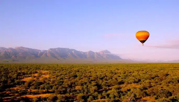 AFRIQUE DU SUD ROBERT KASSOUS