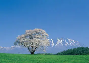 IWATE JAPON