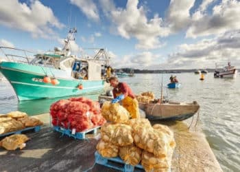 Fête coquille Saint-Jacques à Erquy