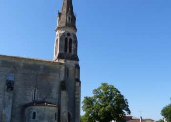 MÉDOC ATLANTIQUE : UN PETIT AIR DE CALIFORNIE