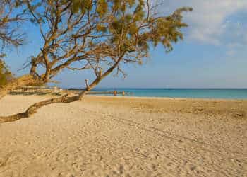 Grèce : Les plages sont ouvertes