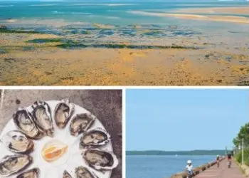 MÉDOC ATLANTIQUE - GIRONDE LES NOUVEAUTÉS DE L'ÉTÉ