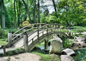 L'été au jardin : la 4e édition de Jardins ouverts