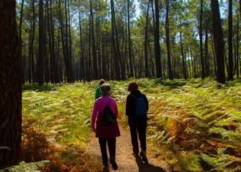 découvrir le Val de l'Eyre