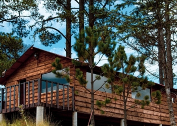 cabane dans bois