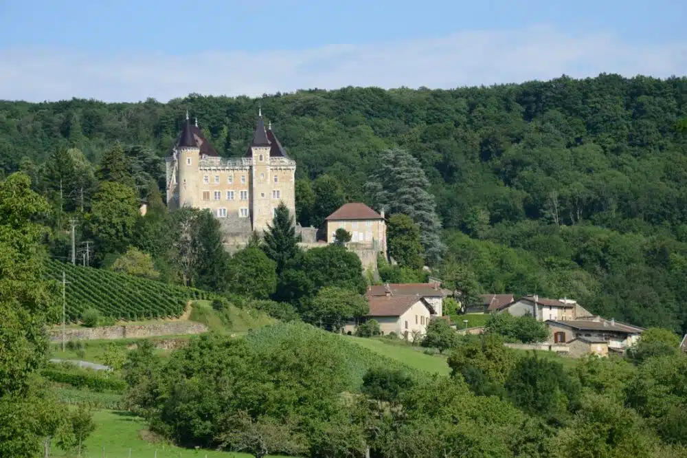 Cerdon vallée de l'Ain