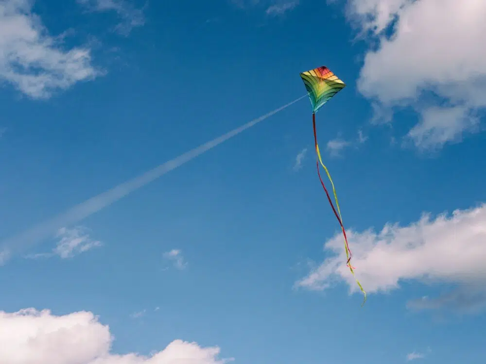 Festival du Cerf-Volant et du Vent