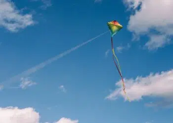 Festival du Cerf-Volant et du Vent