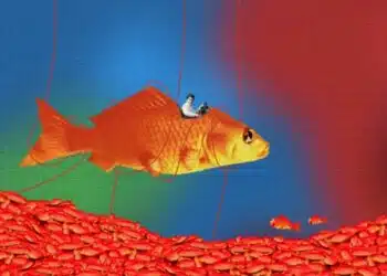 Expo : Un poisson rouge en plastique à l'Aquarium de Paris