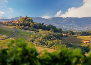 Le Beaujolais se réinvente