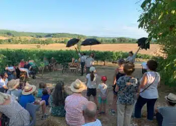 Vineart en Gascogne