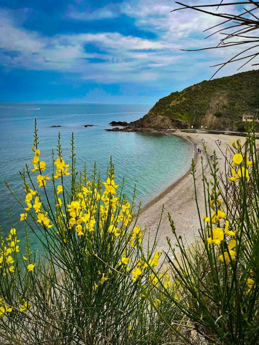 Argelès-sur-Mer