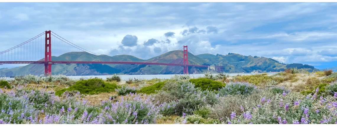 San Francisco - Golden Gate