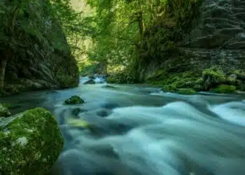 La Valserine est labellisée « Première Rivière Sauvage de France » - Pays de Gex