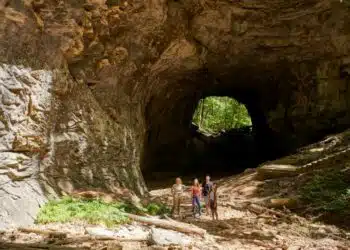 Road trip en beauté dans le Sud-Est américain