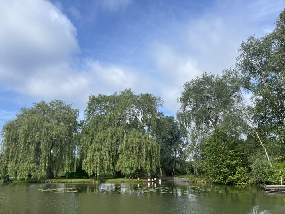 Le Festival International des Jardins aux Hortillonnages à Amiens