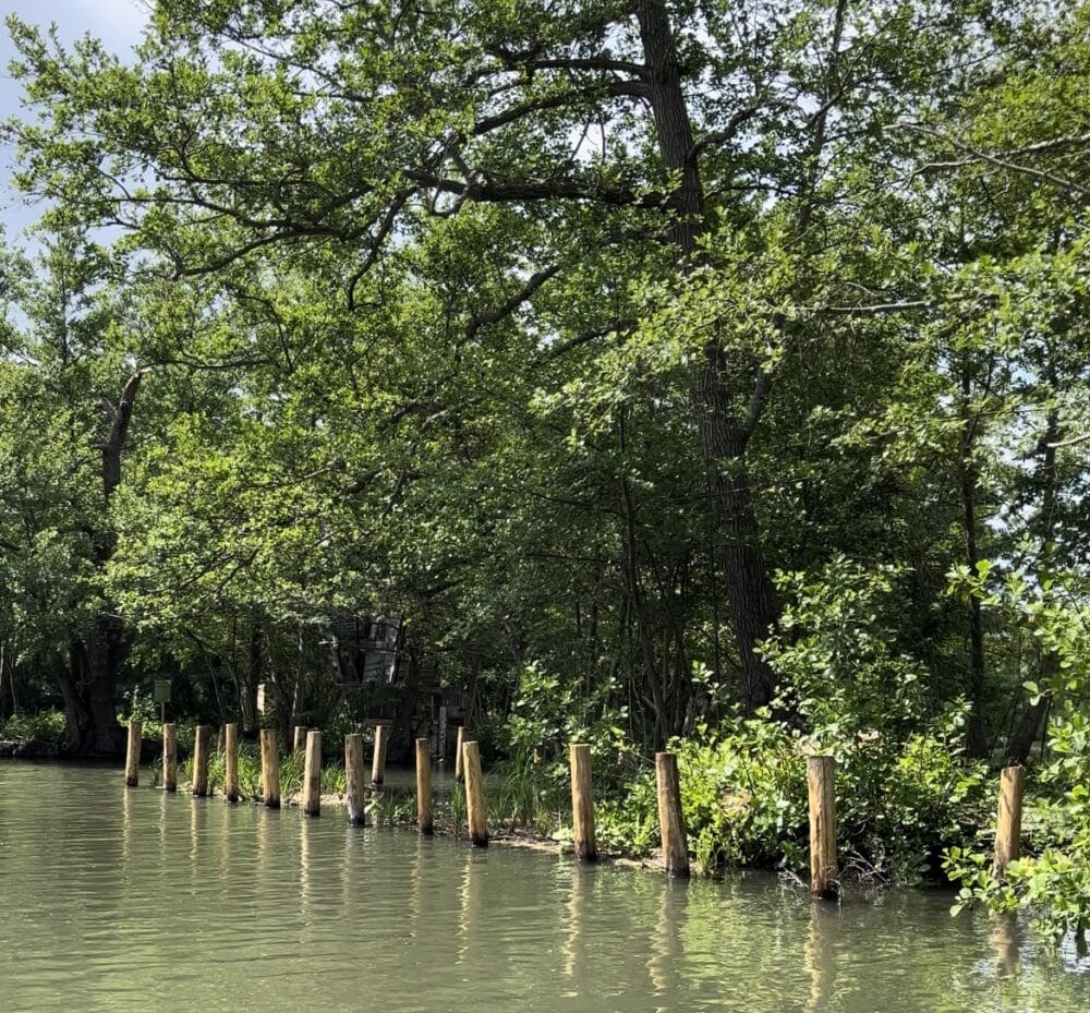 Le Festival International des Jardins aux Hortillonnages à Amiens