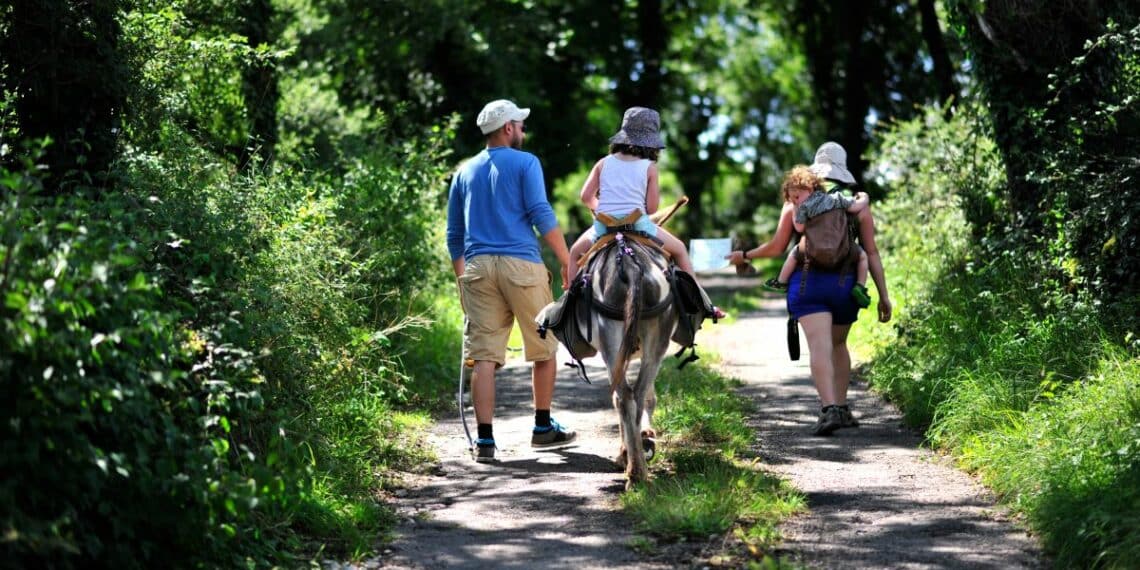 Randonnee avec ane-bate Cabanes a Truffes Loubressac Lot-Tourisme C. ORY