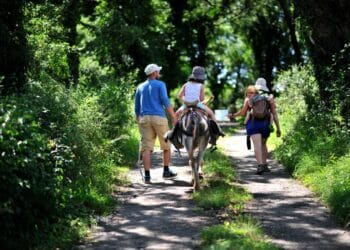 Randonnee avec ane-bate Cabanes a Truffes Loubressac Lot-Tourisme C. ORY