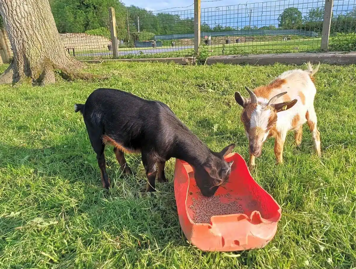 l'Aire de la ferme froide