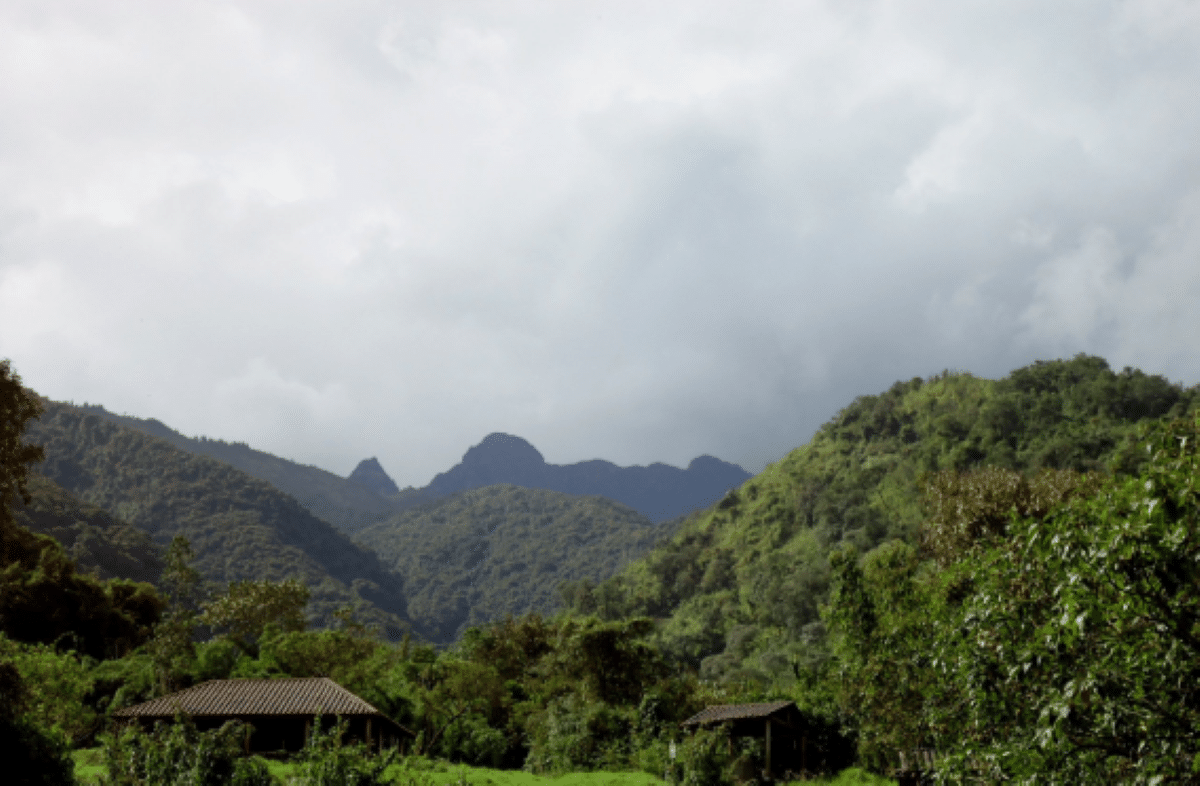 Réserve d’orchidées Pahuma