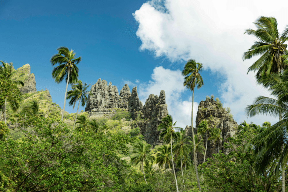 Les îles Marquises