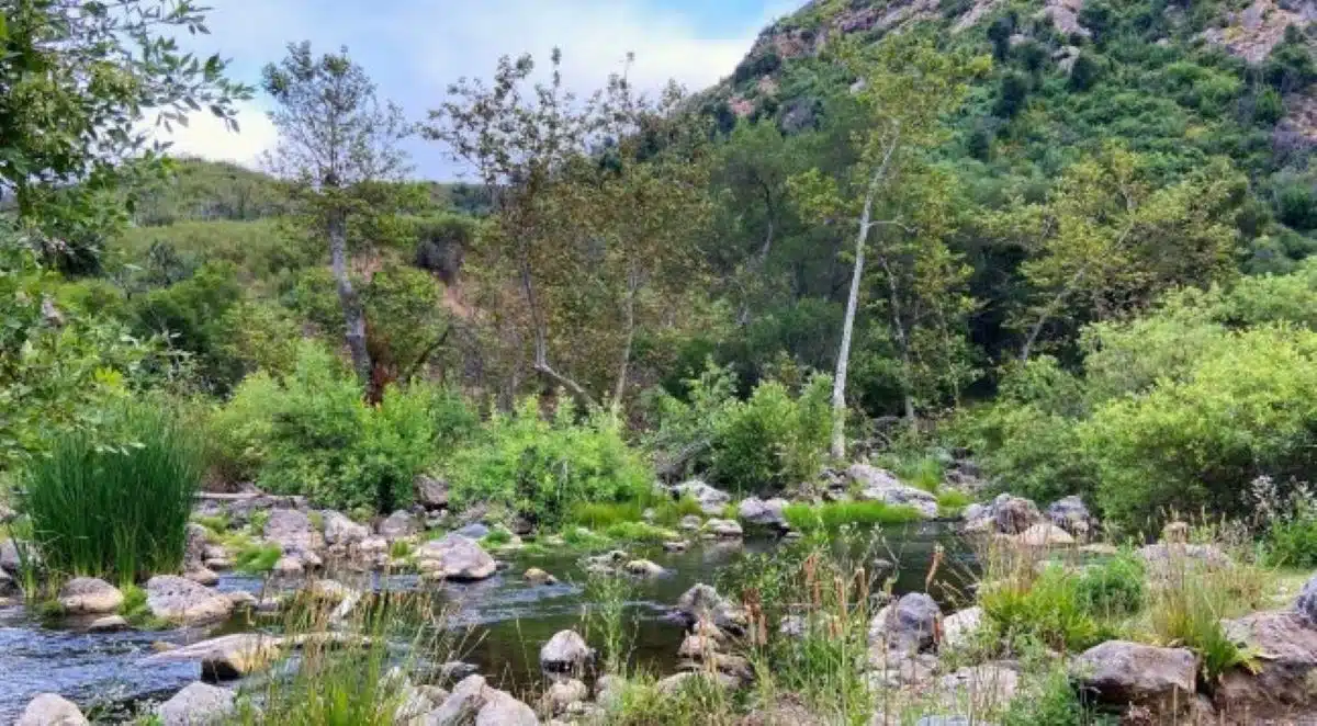 Buckeye Hot Springs