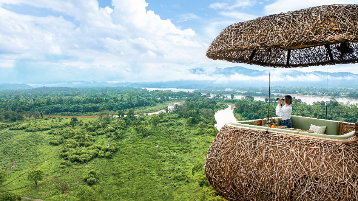 Anantara Golden Triangl, Canopy Tree