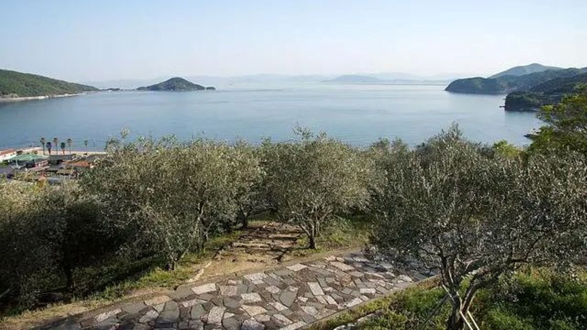 Shodoshima