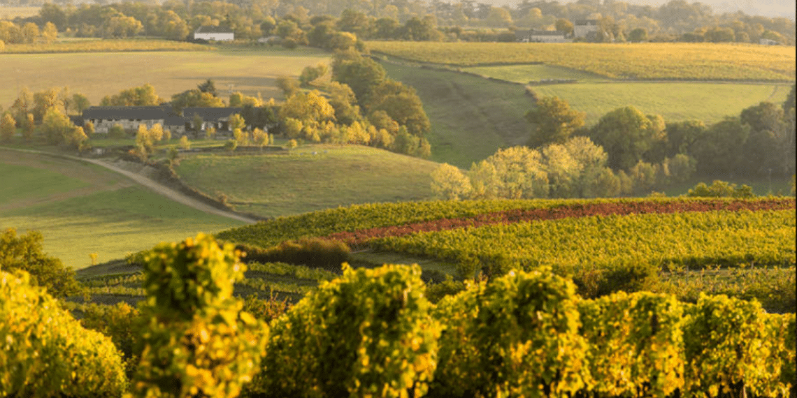 La Roche de Murs - Saint-Aubin de Luigné – Montsoreau - Bouchemaine ©Sébastien Gaudard