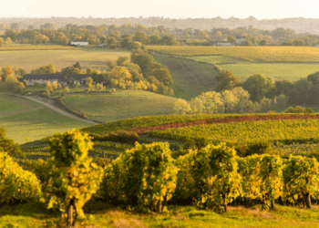 La Roche de Murs - Saint-Aubin de Luigné – Montsoreau - Bouchemaine ©Sébastien Gaudard