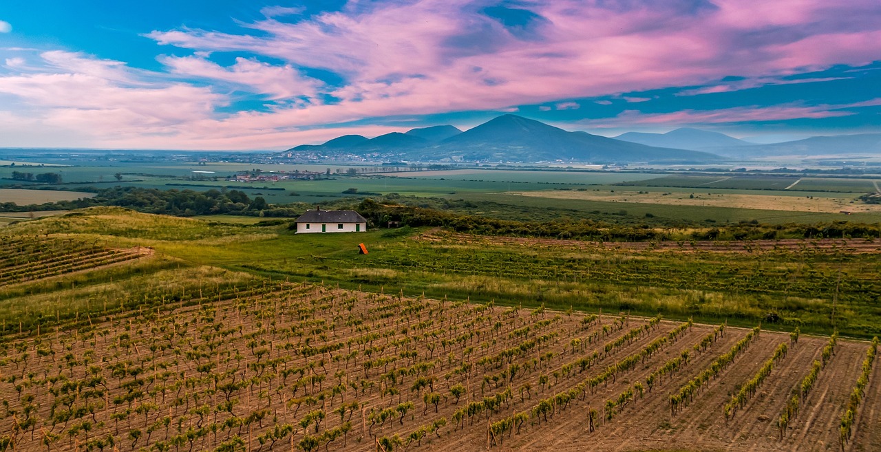 Tokaj