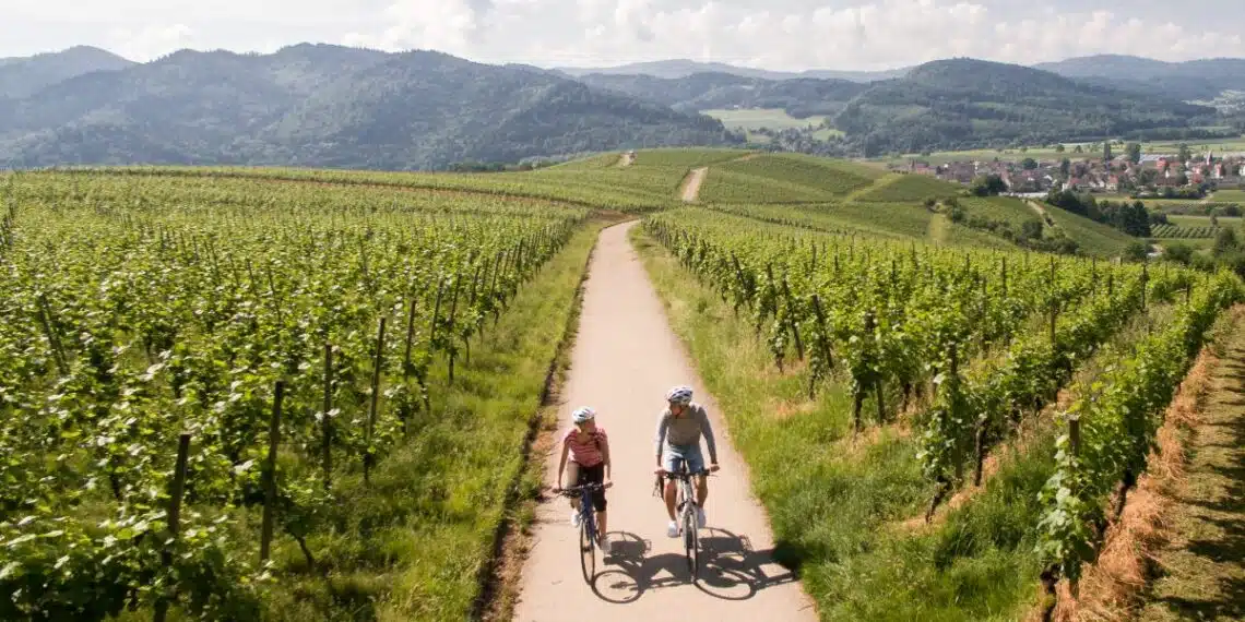 Badischer Weinradweg © Chris Keller_Schwarzwald Tourismus