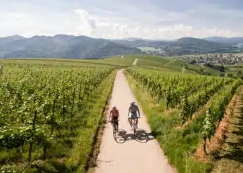 Badischer Weinradweg © Chris Keller_Schwarzwald Tourismus