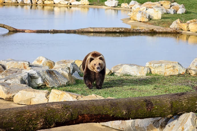 Zoo de La Boissière du Doré