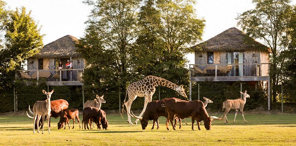 Zoo de La Boissière du Doré