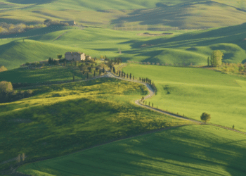 TOSCANE