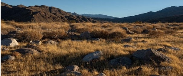 cinquième édition de Desert X