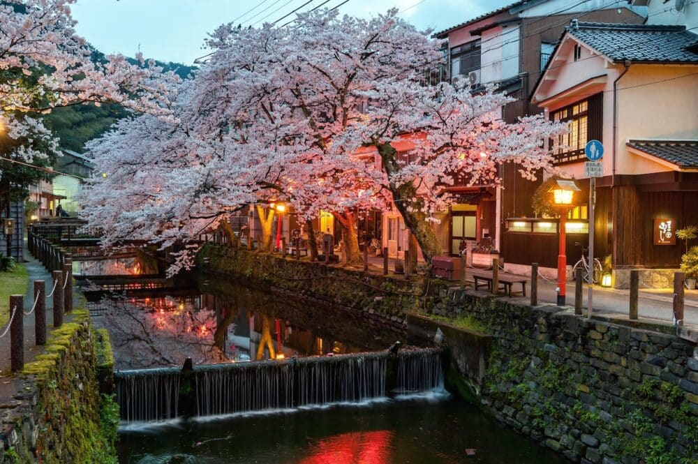 JAPON