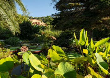 JARDIN BOTANIQUE